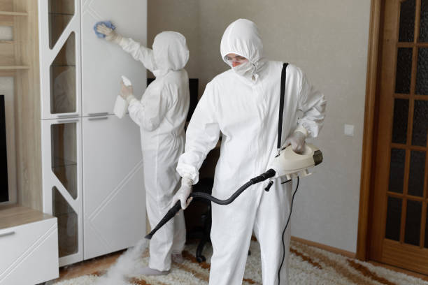 24/7 Emergency Odor Removal experts in Hinsdale, IL