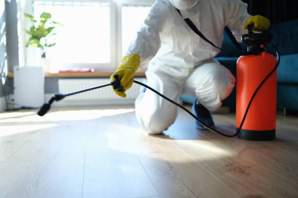Reliable Odor Removal contractor in Hinsdale, IL by Trauma Clean Pros